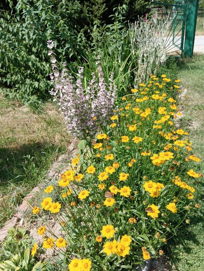 Apartamento Cookies Old House Visoko Exterior foto